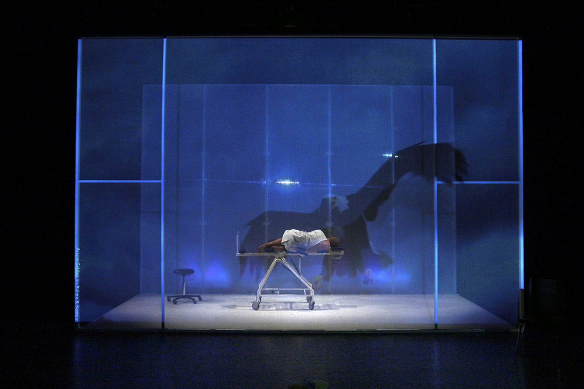 2014.Bühne und Kostüm „Die Angehörigen“ von Tugsal Mogul. Regie Tugsal Mogul, Theater im Pumpenhaus Münster